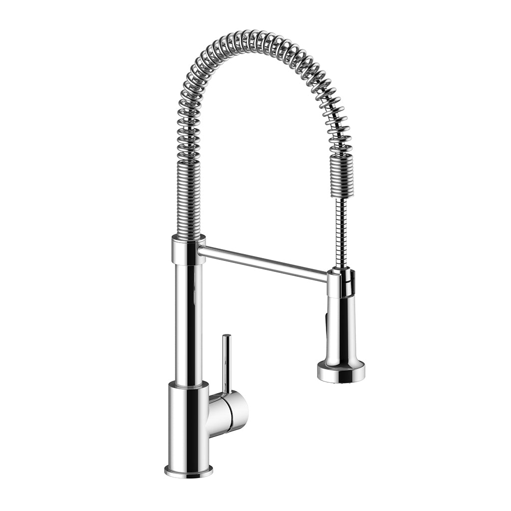 LINZ - Kitchen Faucet with 2-Function Detachable Spray