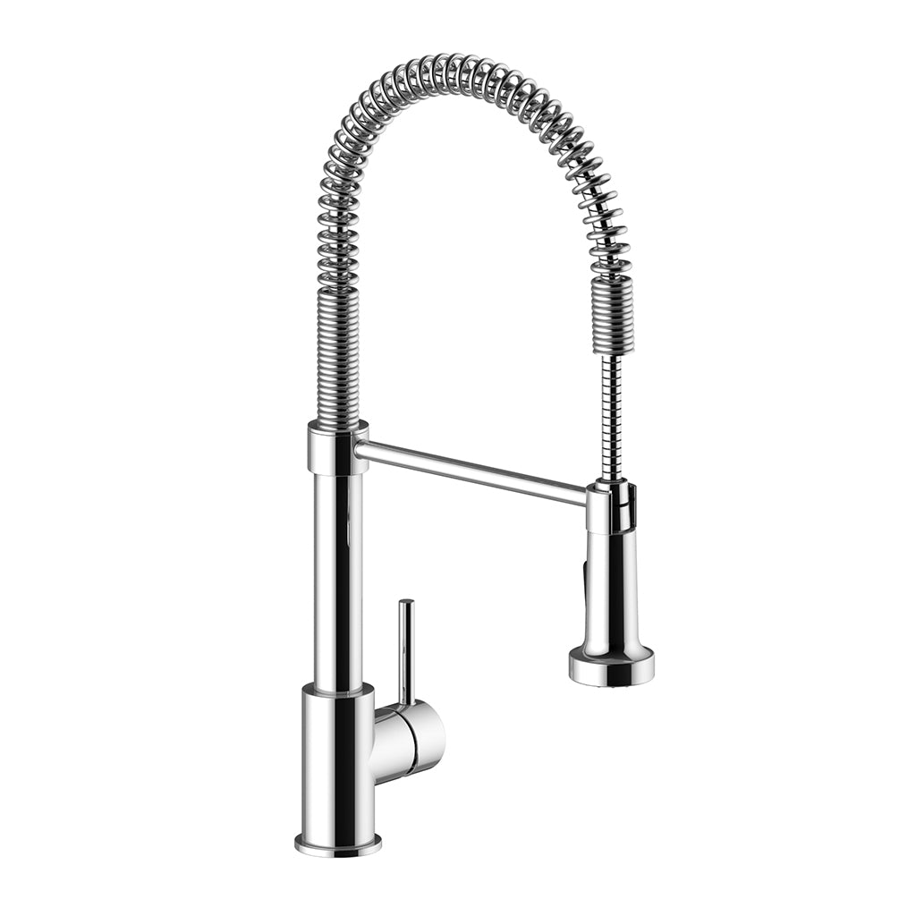 LINZ - Kitchen Faucet with 2-Function Detachable Spray
